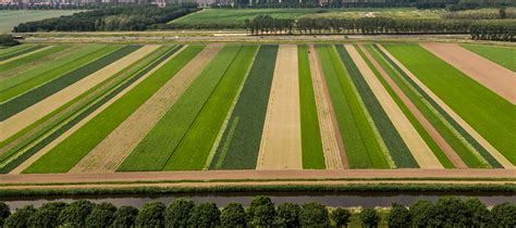 strip crop|Strip Cropping .